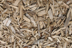 biomass boilers Longstock