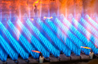 Longstock gas fired boilers
